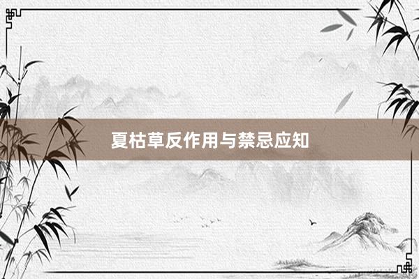 夏枯草反作用与禁忌应知