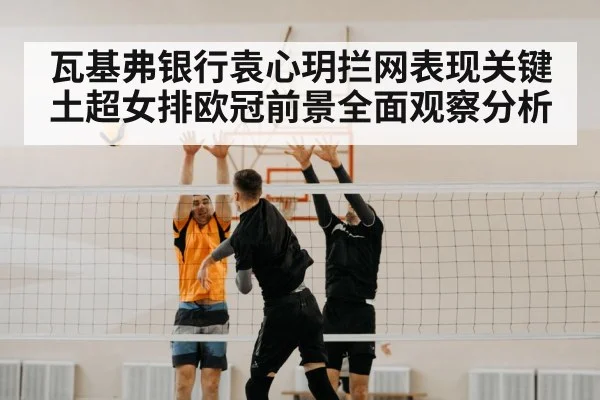 volleyball block net